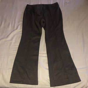 new york & company petite dress pants NWT